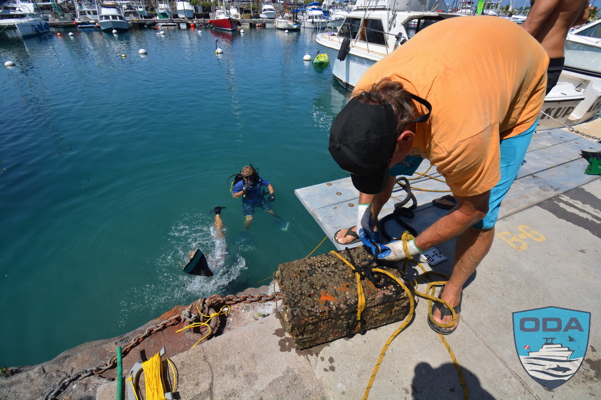 Toxic batteries being removed from the ocean waters.
