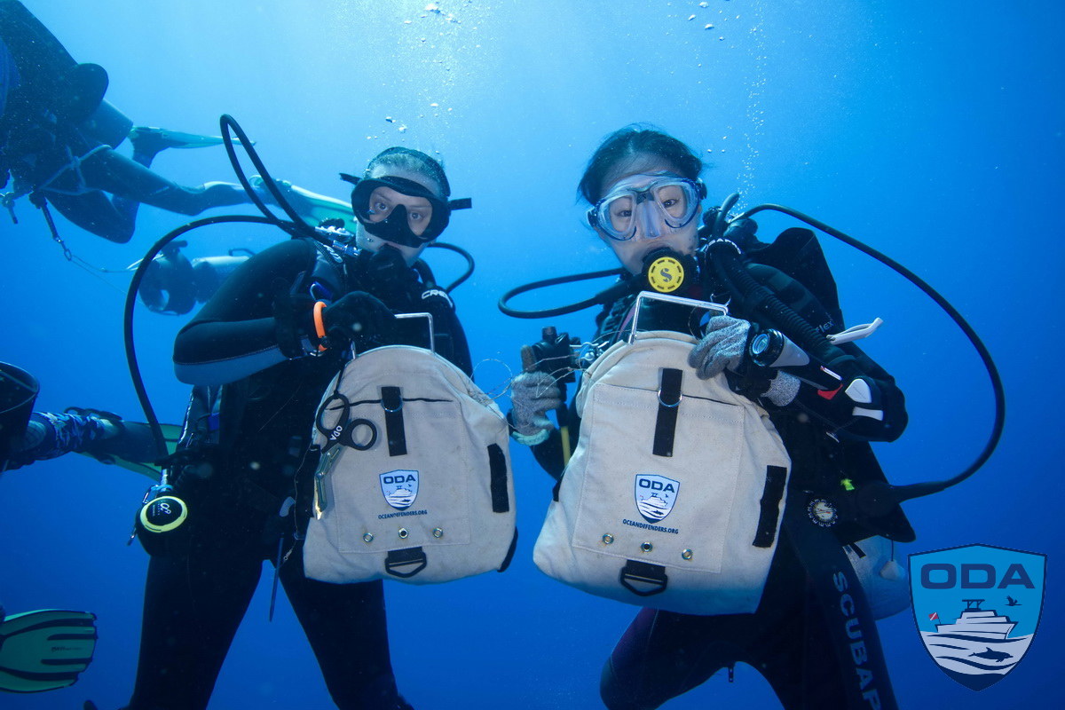 UW Divers with ODA debris bags
