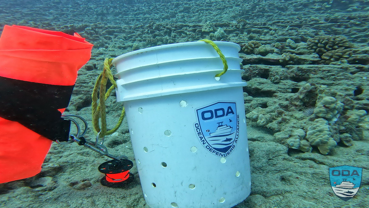 ODA debris-collecting bucket