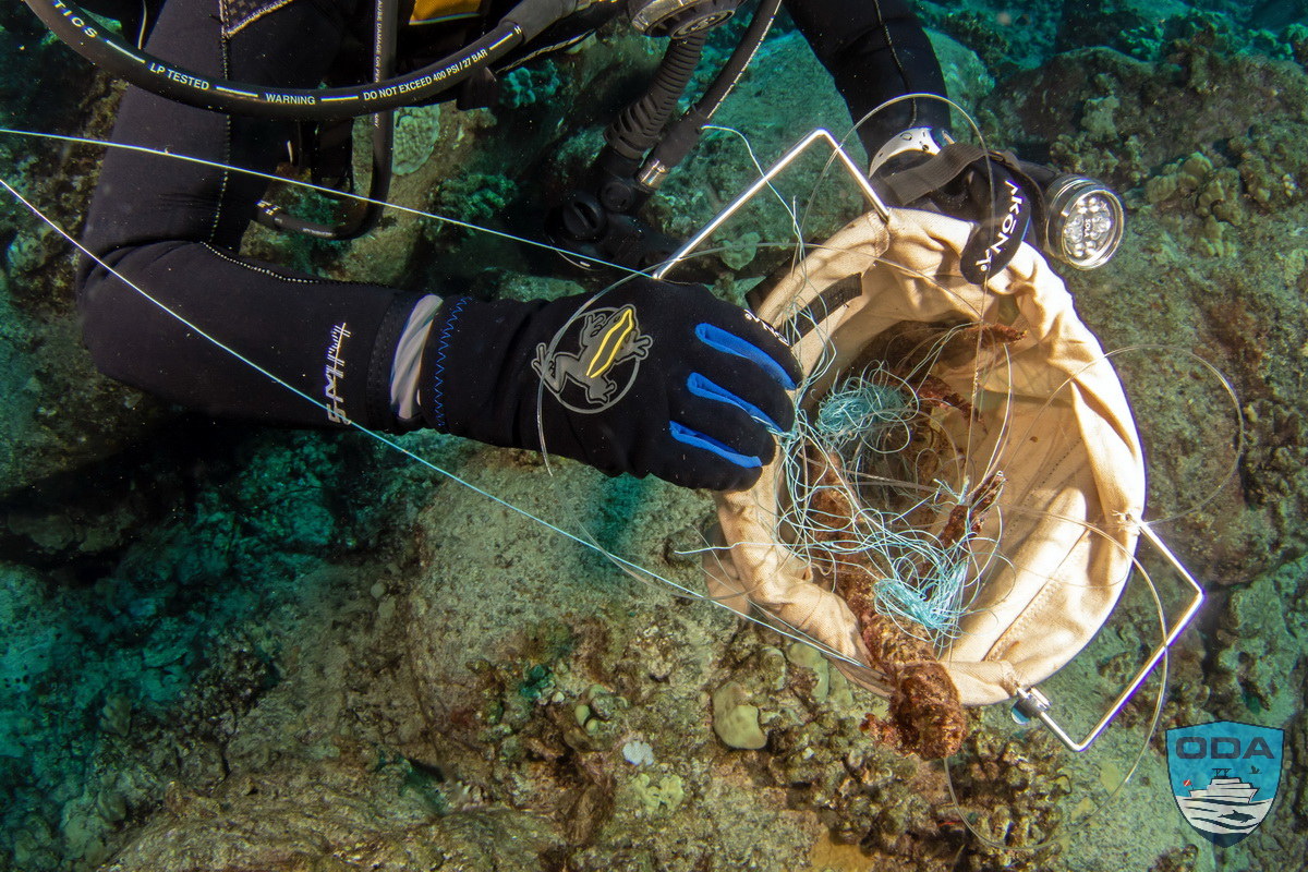 Divers fill their debris collection bags