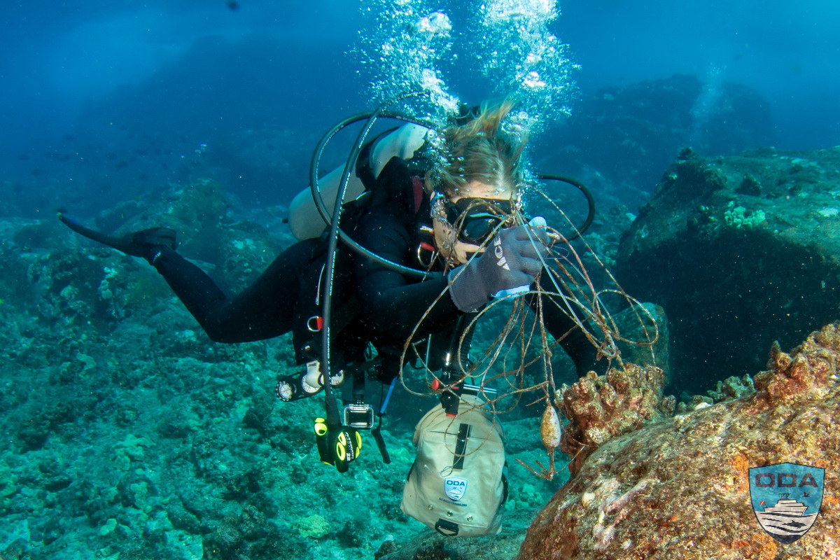 UW Divers removing debris