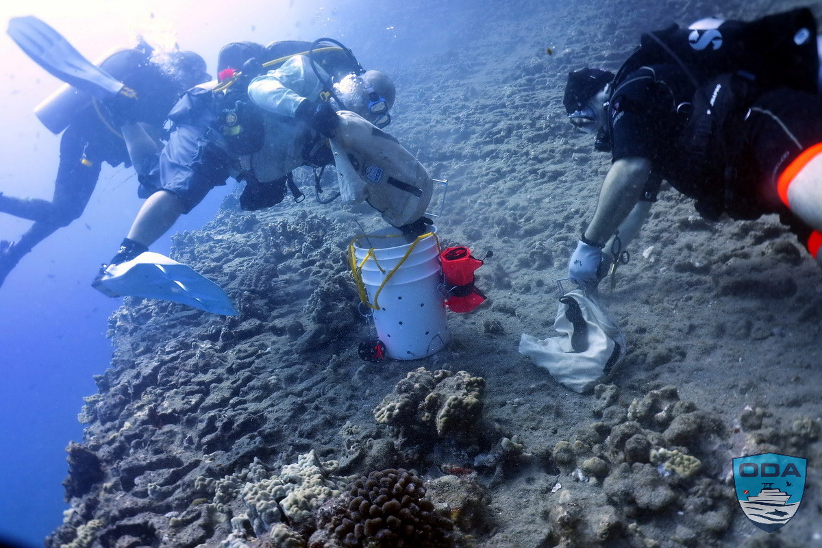 Divers busy removing ocean debris
