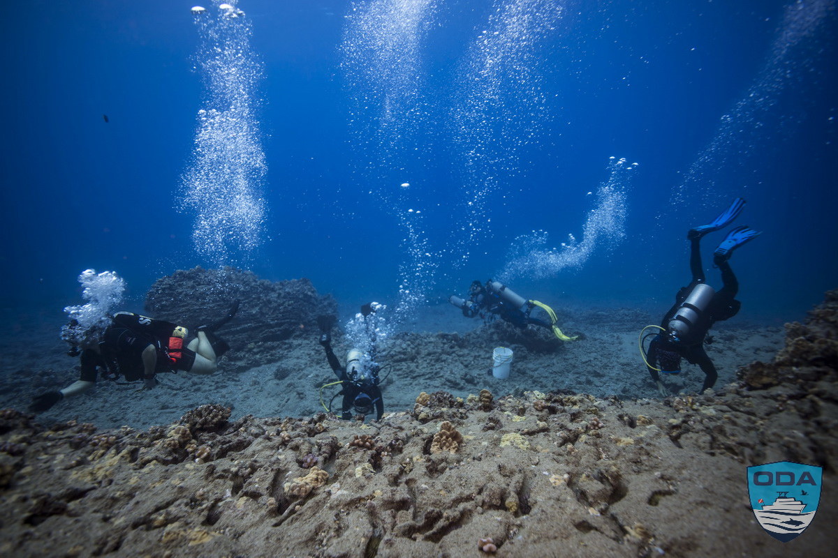 Divers removing marine debris