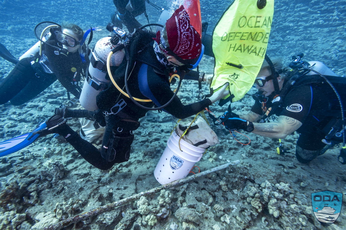 Ocean Defenders Divers filling lift bag with collected debris