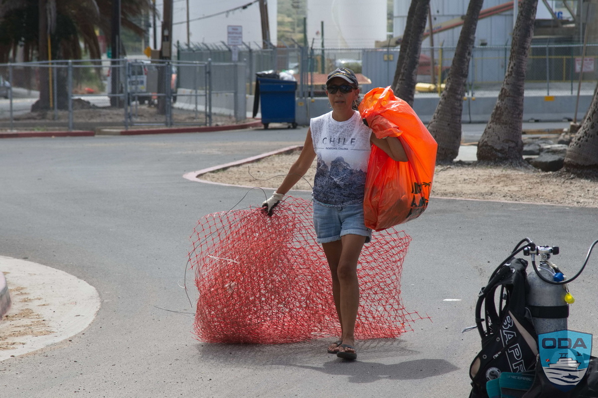 ODA volunteers remove and properly dispose of marine debis