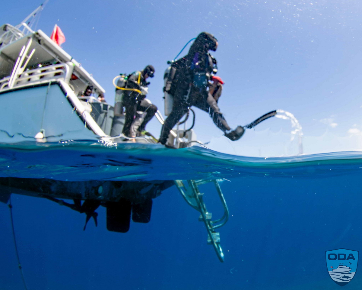 Ocean conservation diver entering water