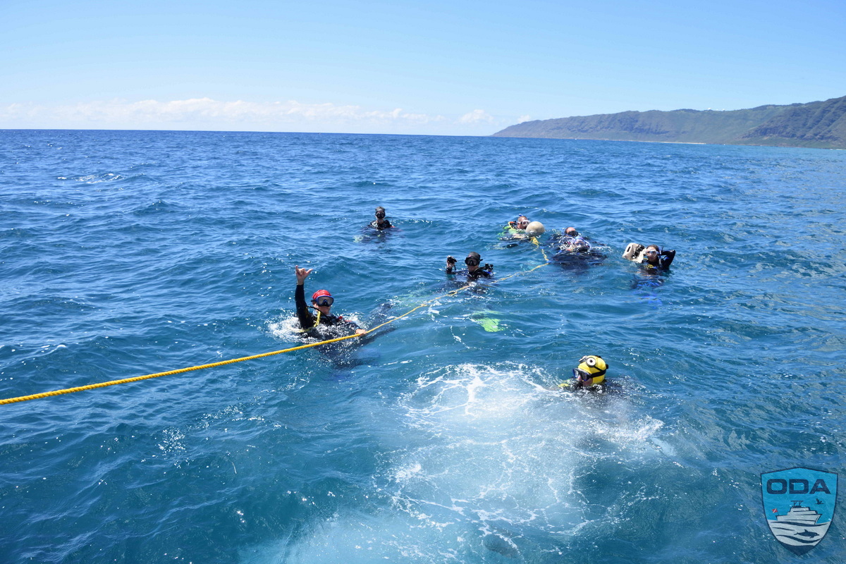Ocean conservation divers in water