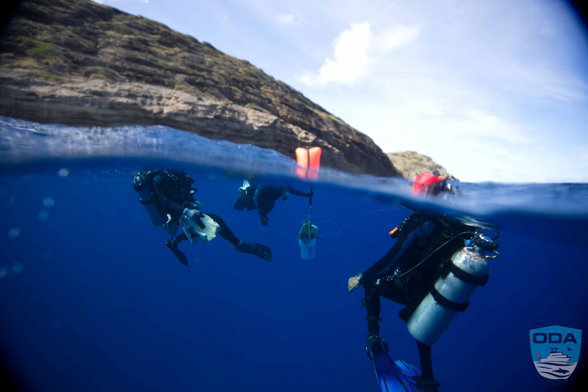 ODA divers ascend with lift bags bringing up debris