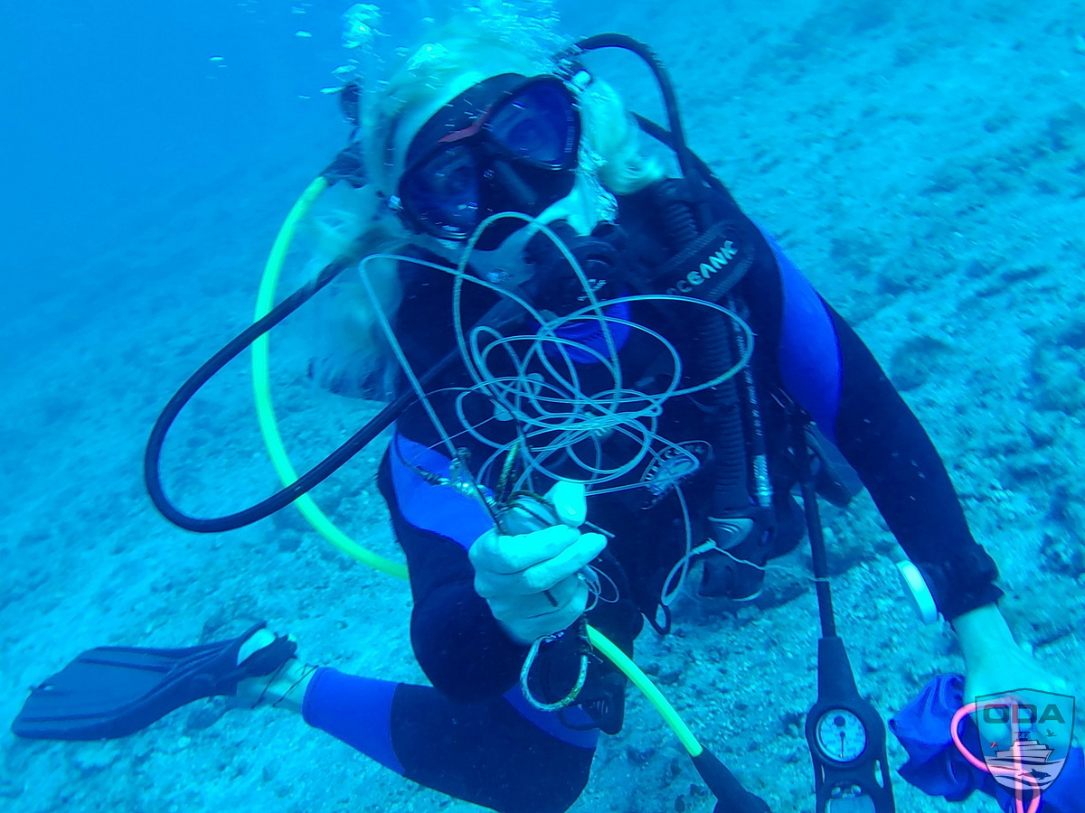 UW Ocean Defenders Divers removing wildlife entangling line