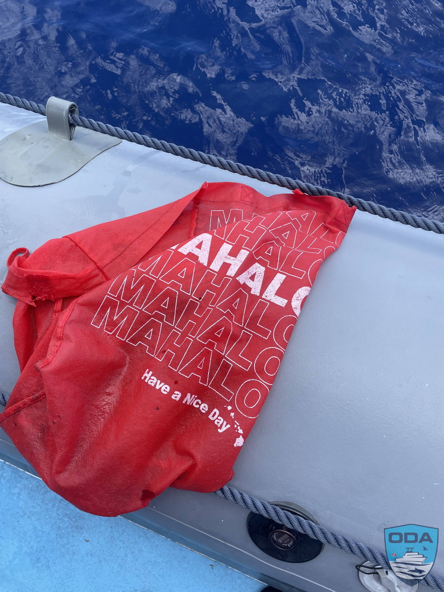 Red shopping bag recovered