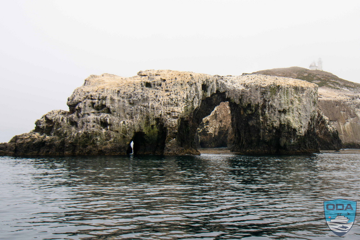 This is our dive site near Arch Rock