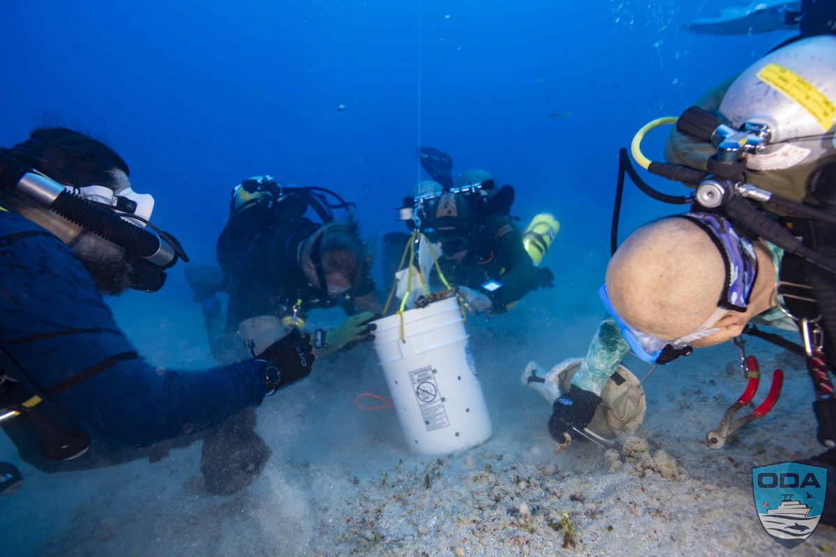 Ocean Defenders are experts at spotting man-made debris and removing it.