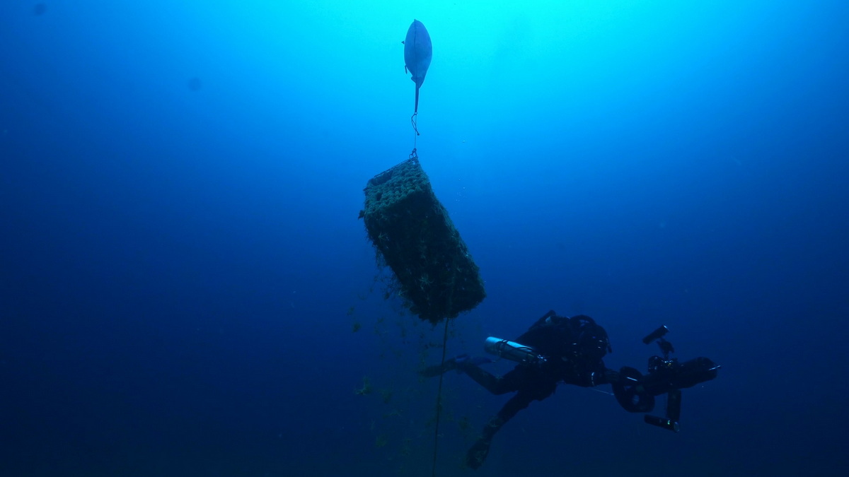 The float bags lifts trap towards the surface.