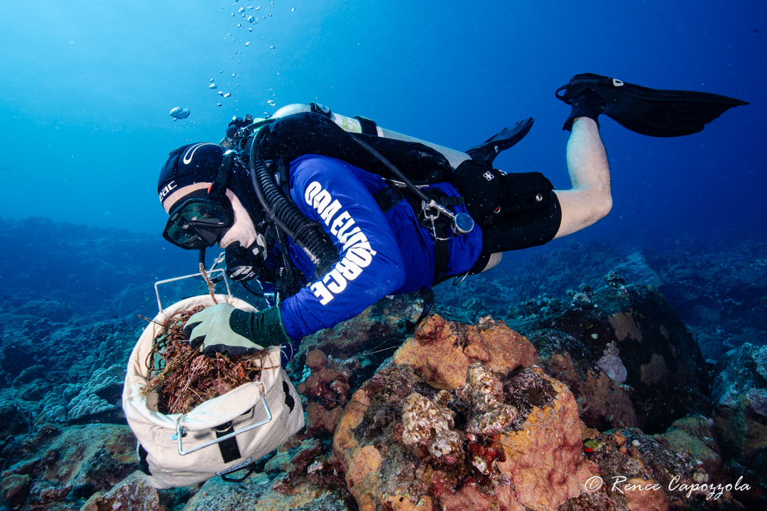 ODA SCUBA Diver removing ghost gear