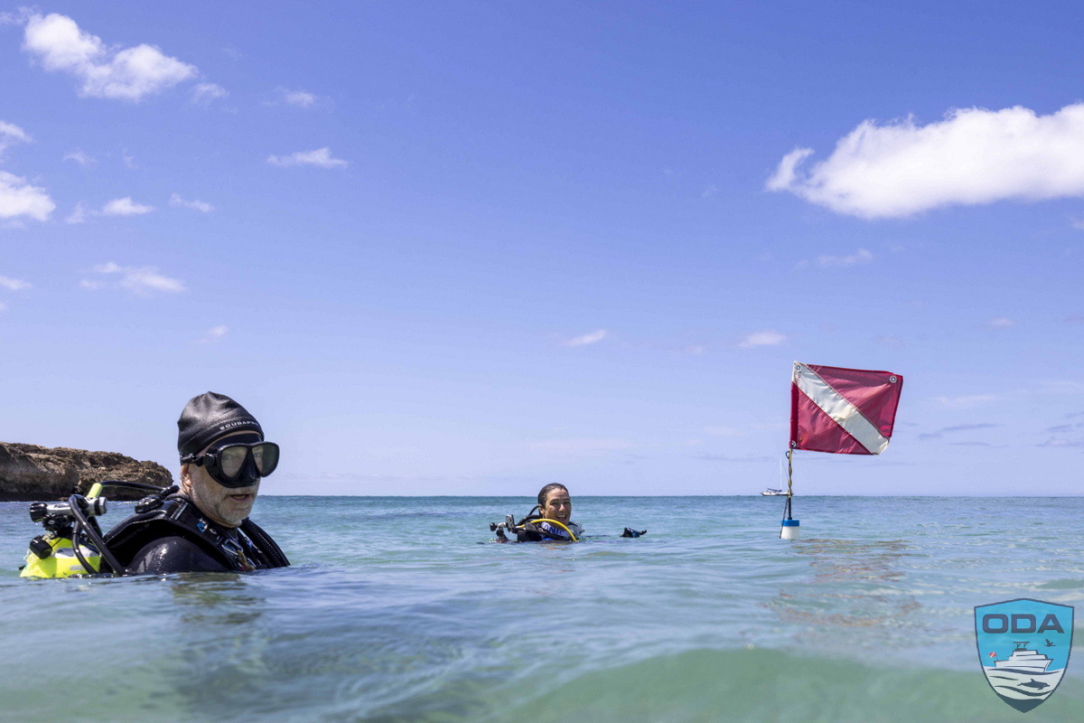Scuba divers get in water to begin underwater cleanup