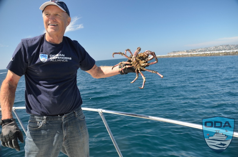Dave Merrill releases Sheep Crab