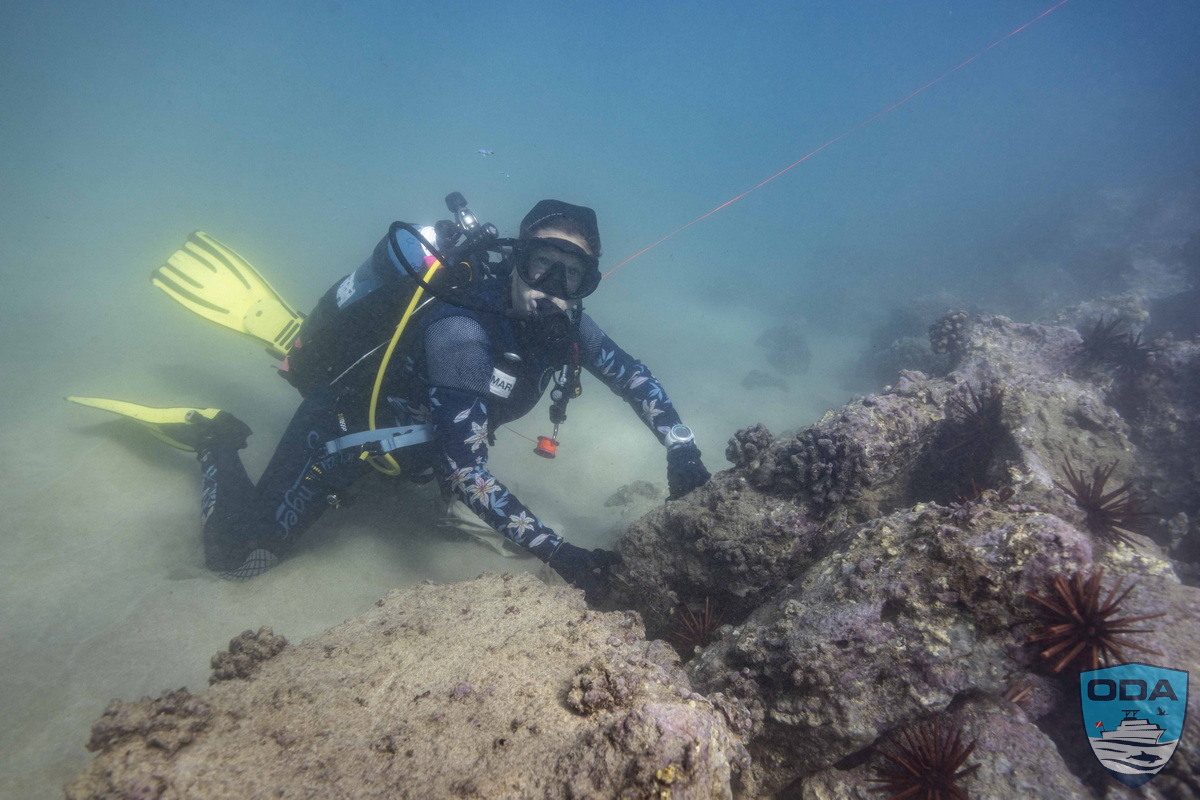 UW Diver removing debris Marjorie