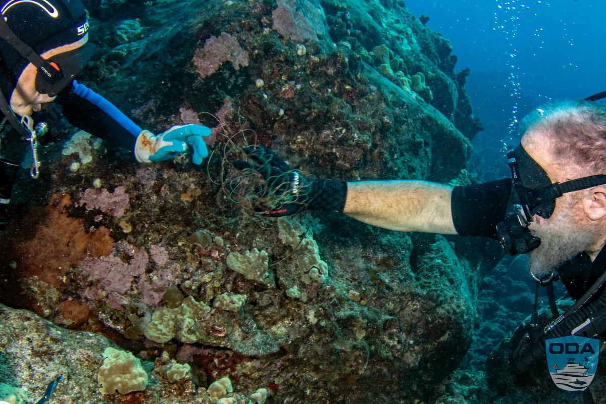 UW Ocean Defenders Alliance Diver removing fishing lines from coral
