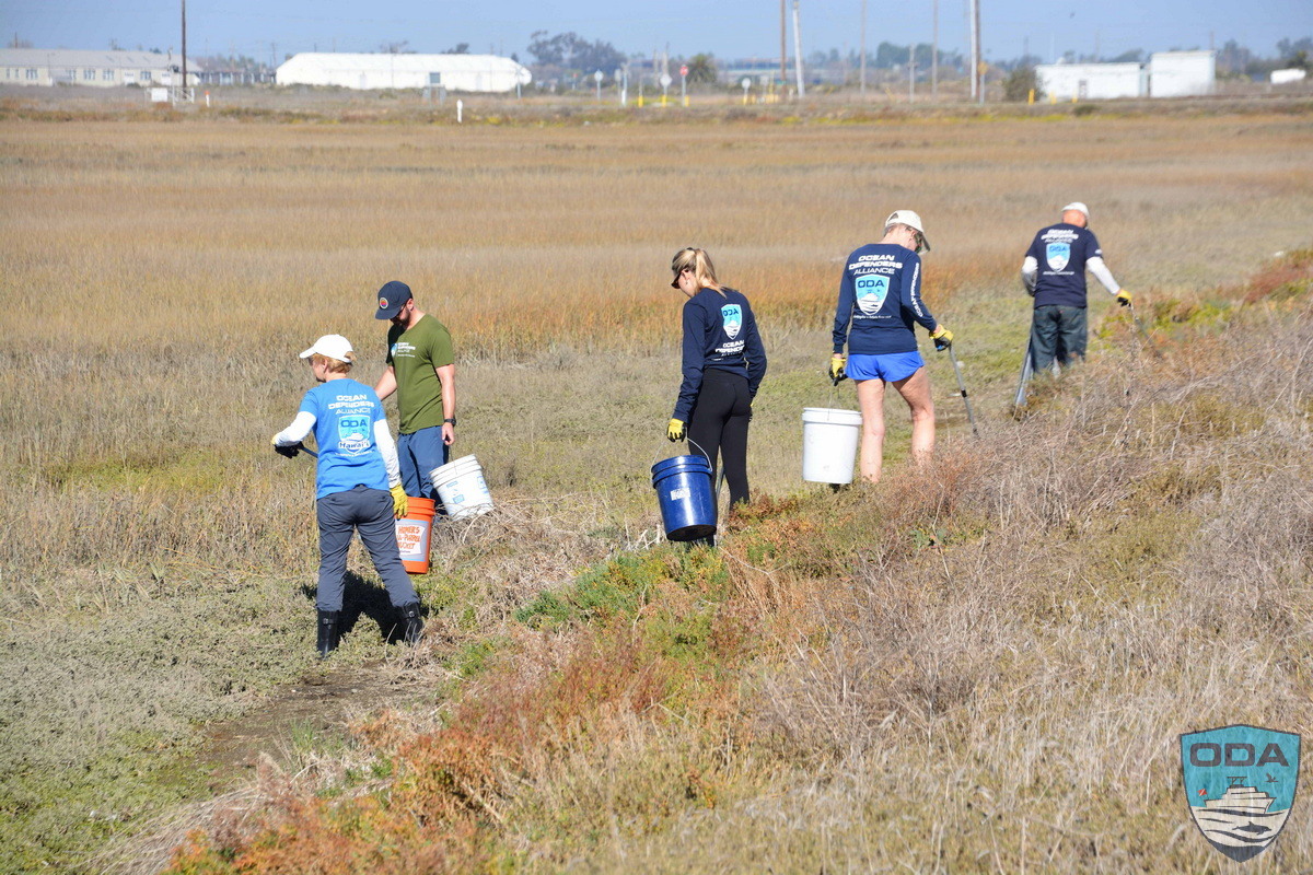 Ocean conservation Crew picks up litter