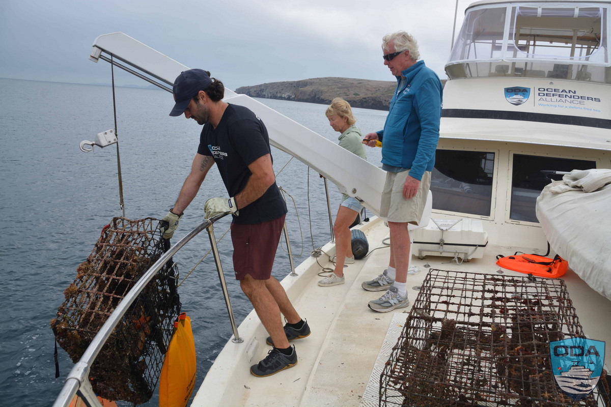 Lobster Trap being hauled out of the ocean for proper removal