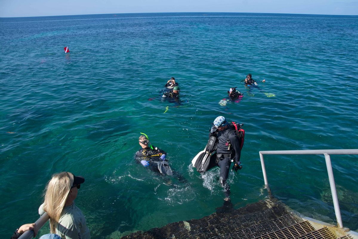 ODA ocean conservationists Divers entering water to remove marine debris