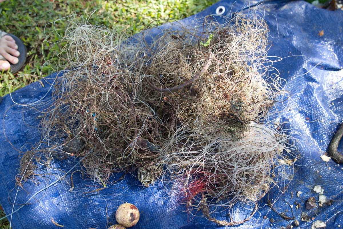 Catch o the Day 1 LR 1200w