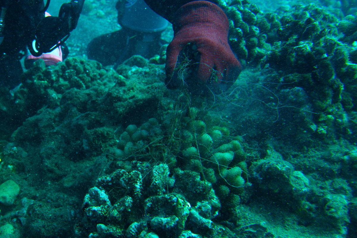ODA UW Divers removing fishing line