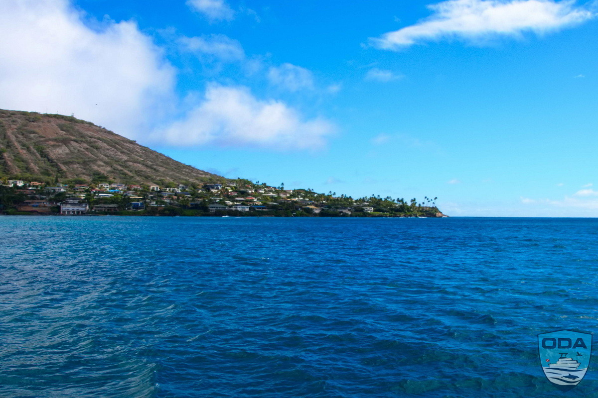 news 2025 12 30 2025 11 16 05 Dive site 2 LR 1200w wm