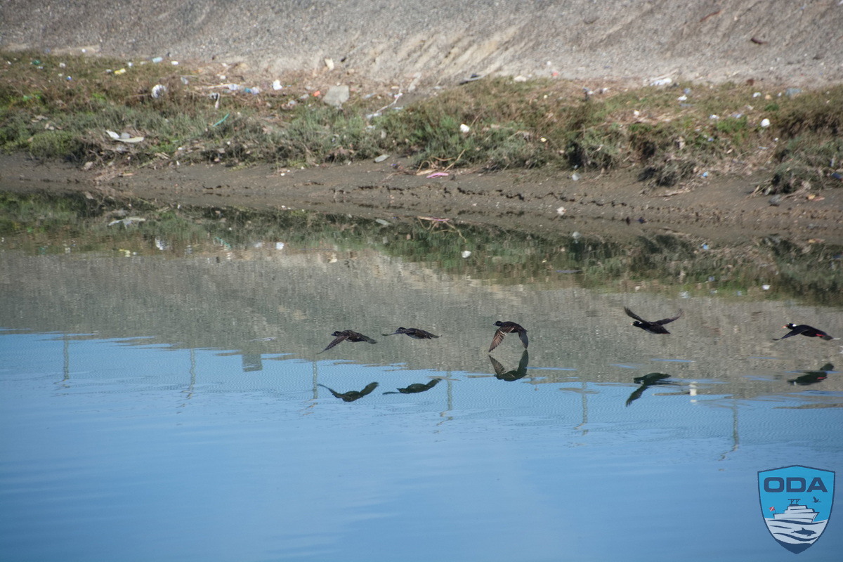 news 2026 03 25 2026 03 21 03 Debris along bank LR 1200w wm