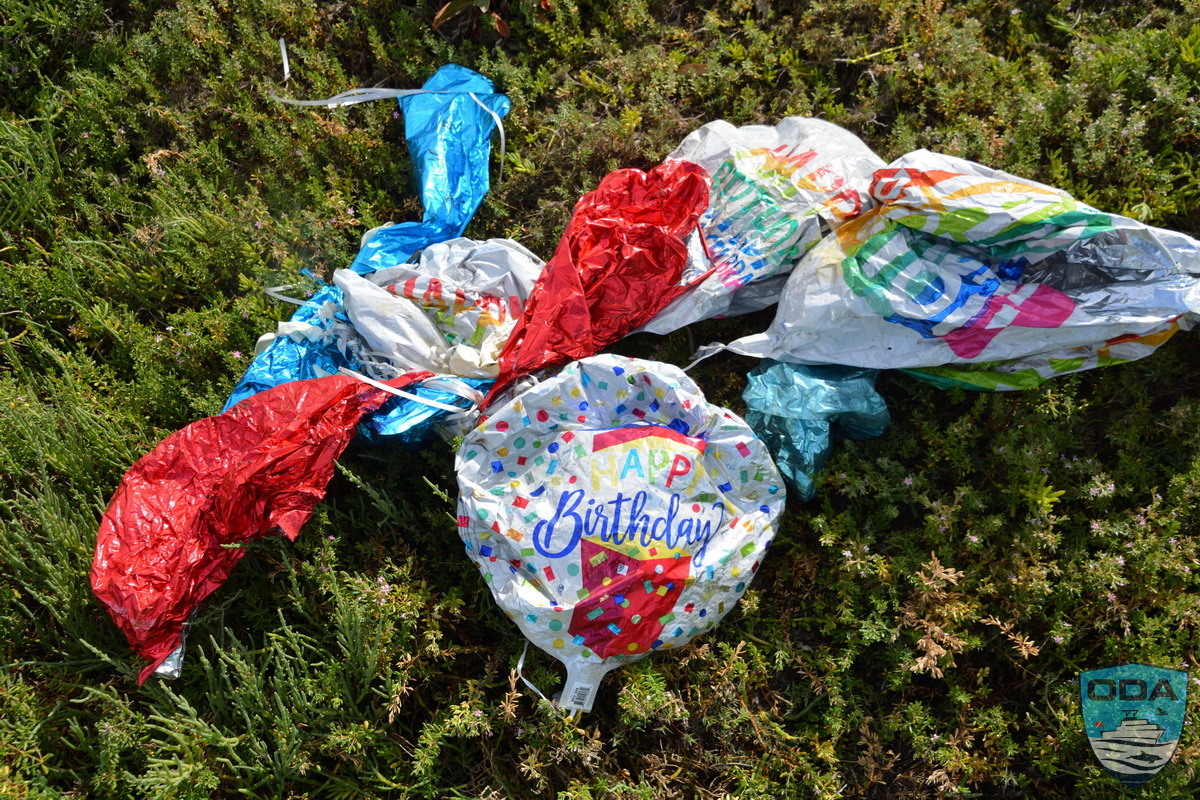 news 2026 05 06 2026 04 22 17 Mylar balloons LR 1200w wm