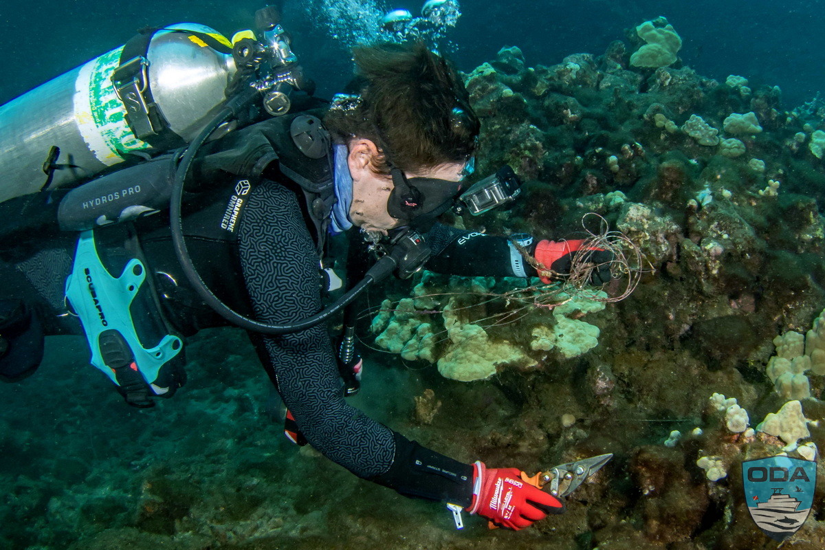 news 2026 05 28 2026 05 18 04 UW Divers removing debris 3 LR 1200w wm