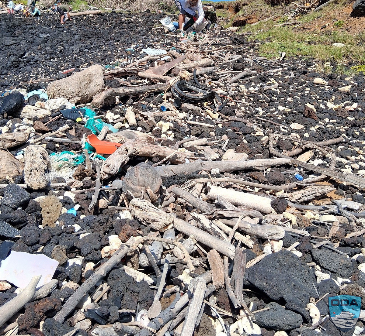 Crew removing debris 4 1200w wm