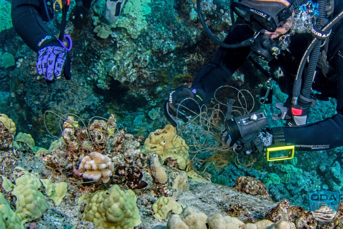 Ocean Defender Diver removing fishing line from coral heads