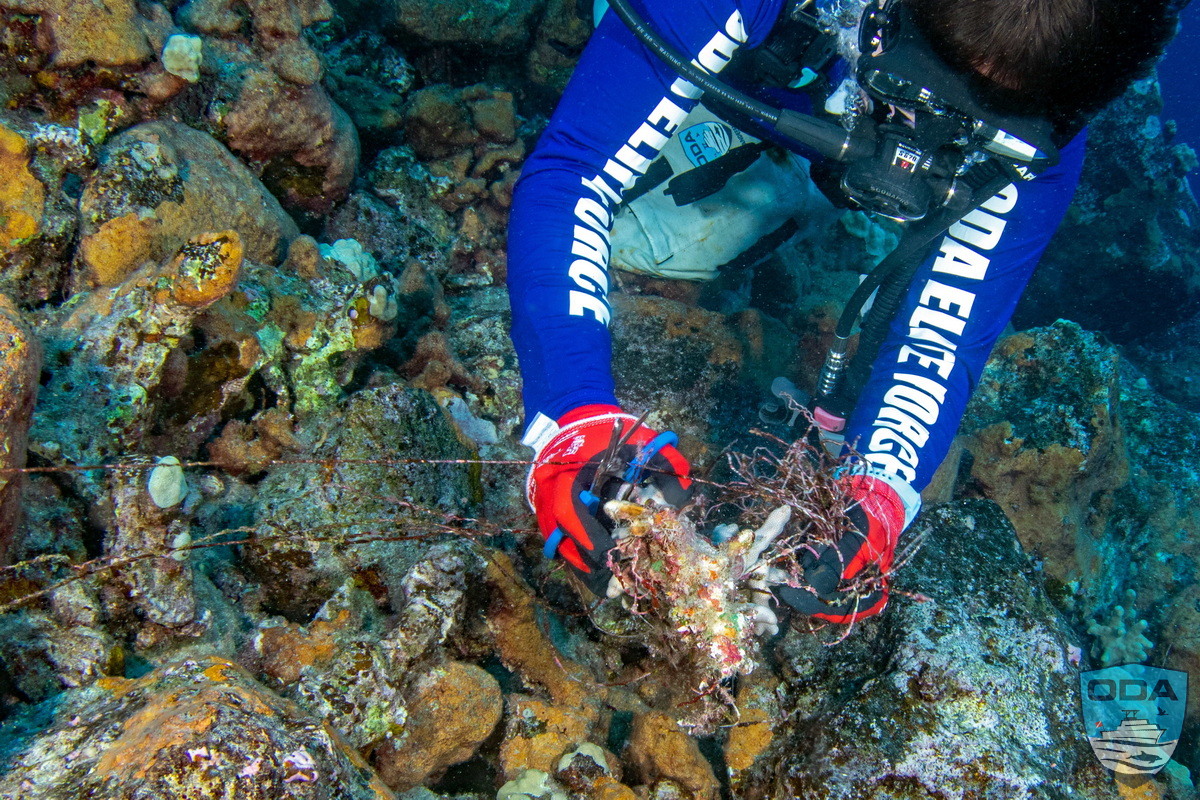 ODA UW Divers removing marine debris