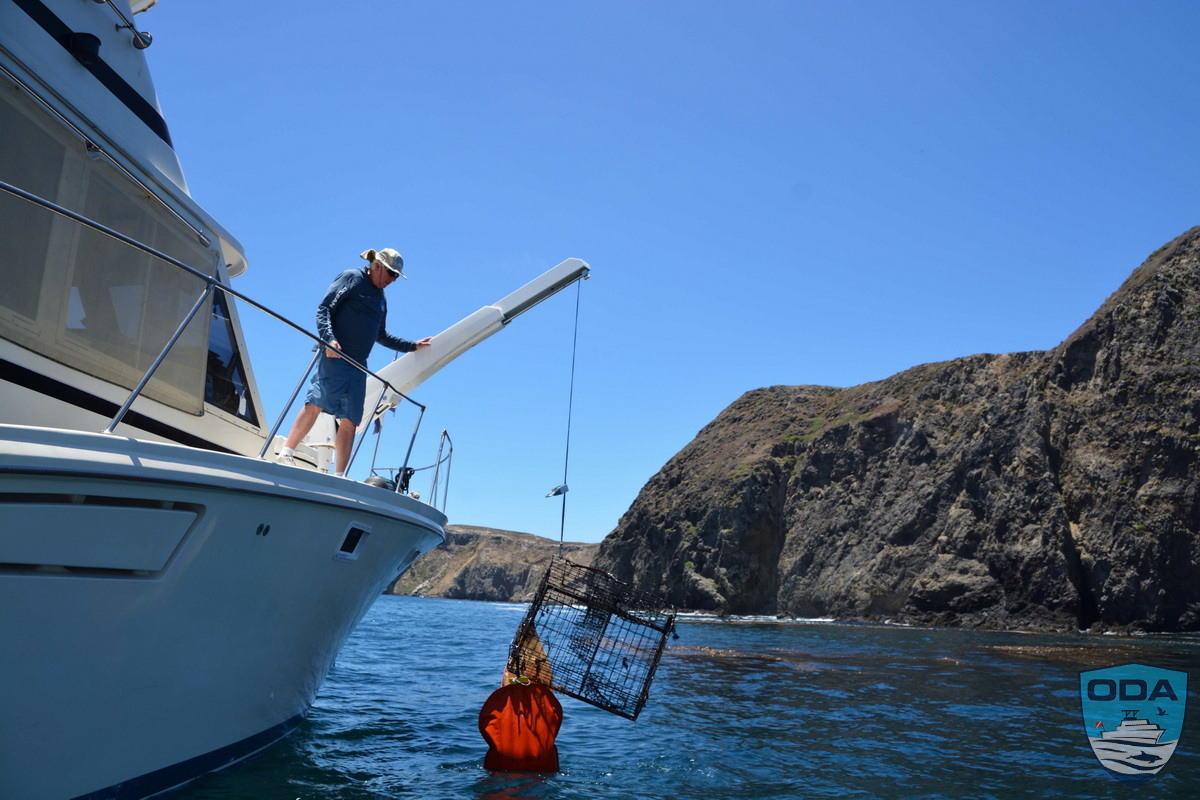 news 2026 07 14 2026 07 05 16 Trap on davit 1 LR 1200w wm