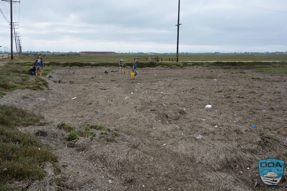 Wetlands evironment littered with garbage before we cleaned it.