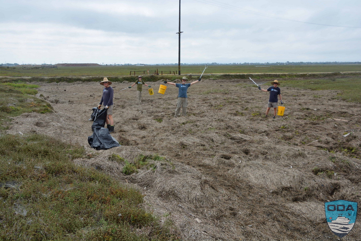 The wild land area free of detrius after the Ocean Defender volunteers worked hard to clean it.