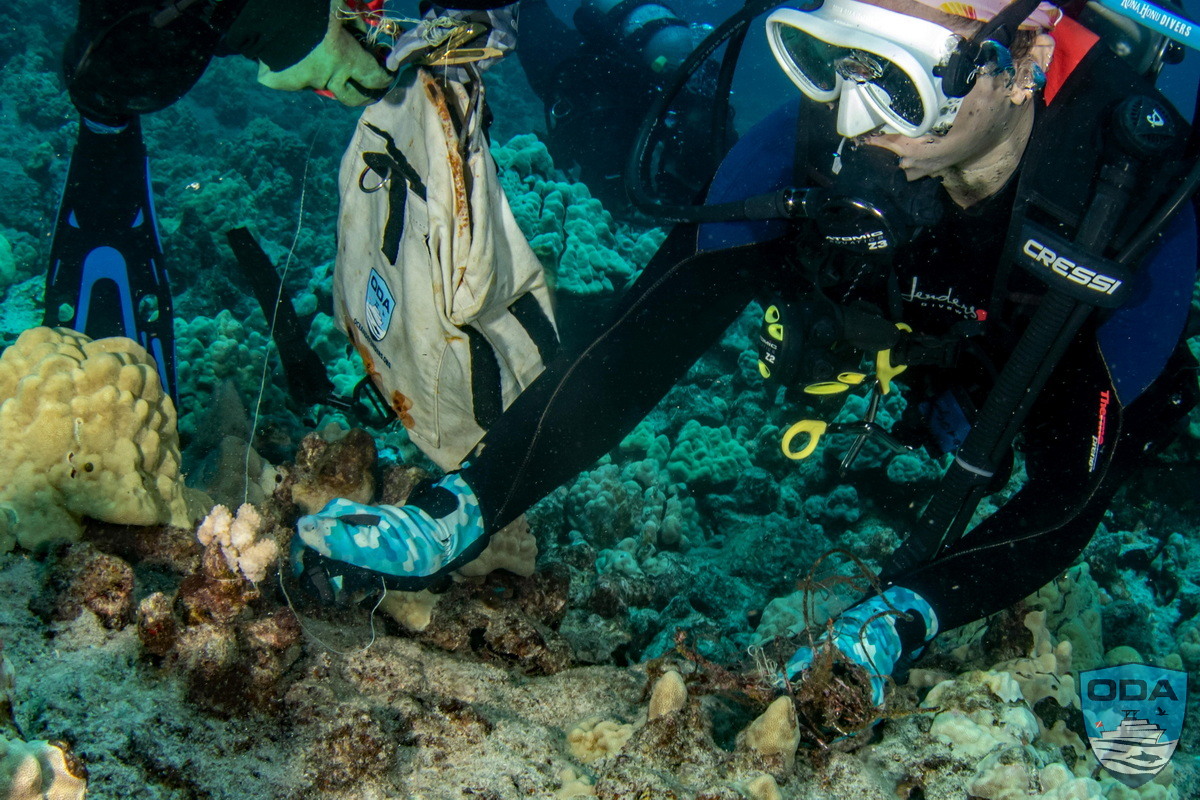 Ocean conservation volunteer collecting hazardous marine debris.