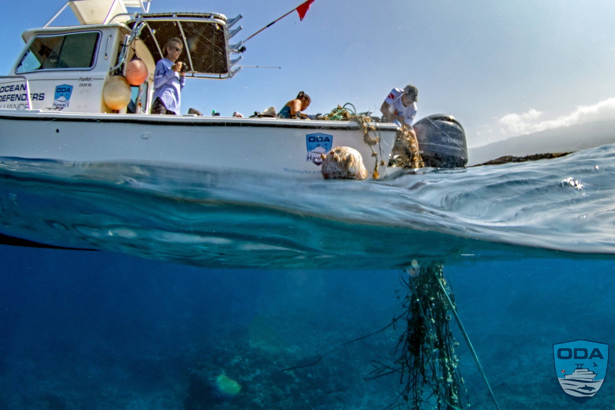 Hauling FAD aboard