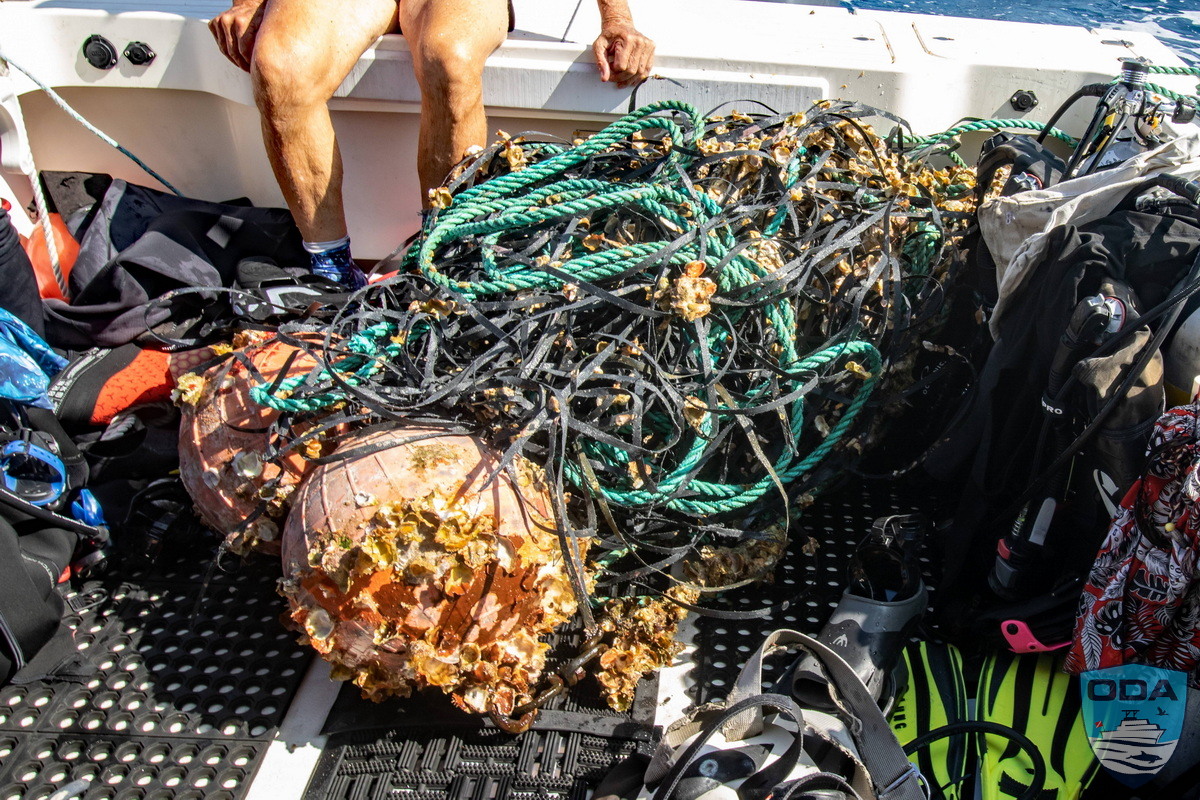 Collect ghost gear out of harm's way.