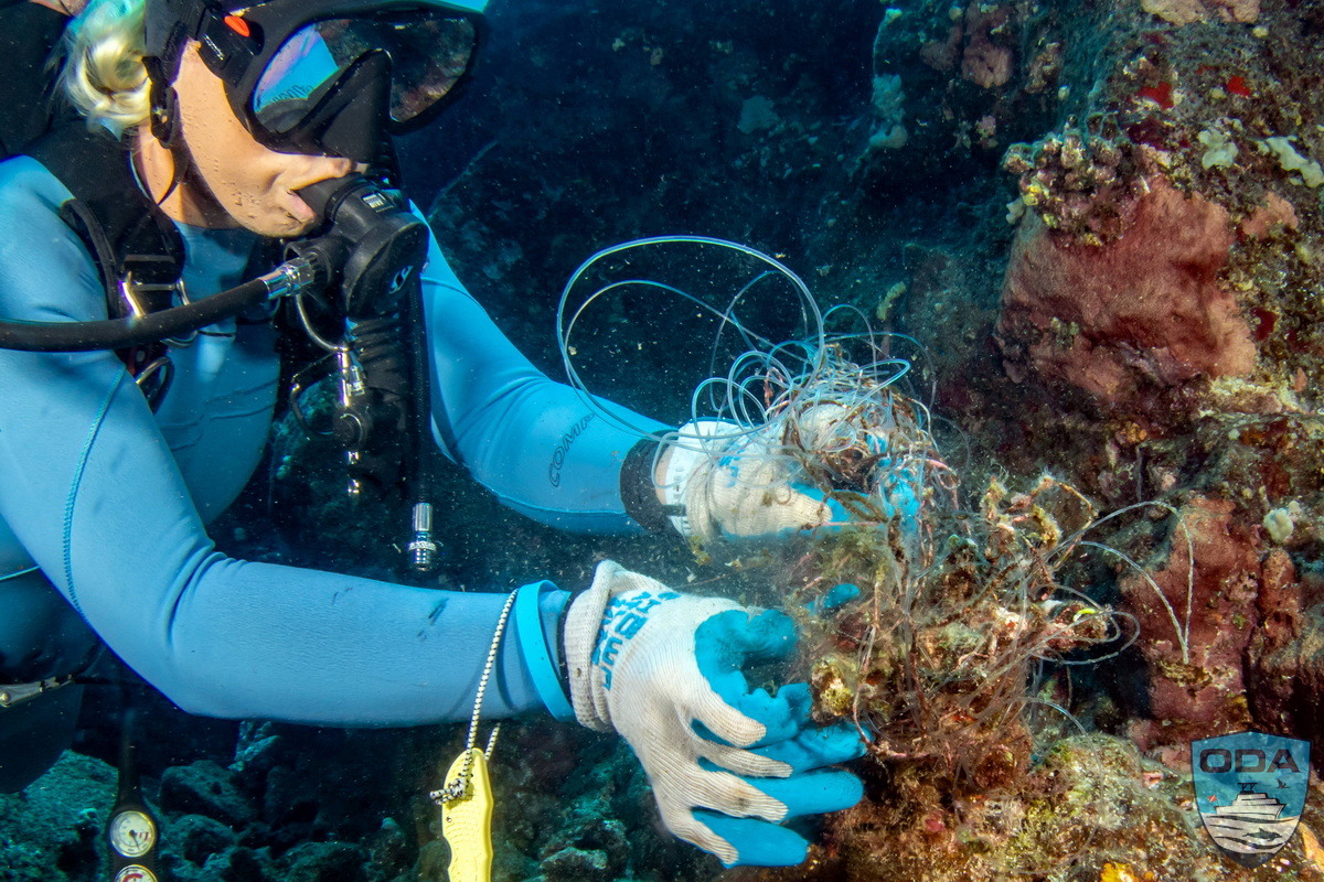 ODA disentangles abandoned recreational fishing line from coral heads.