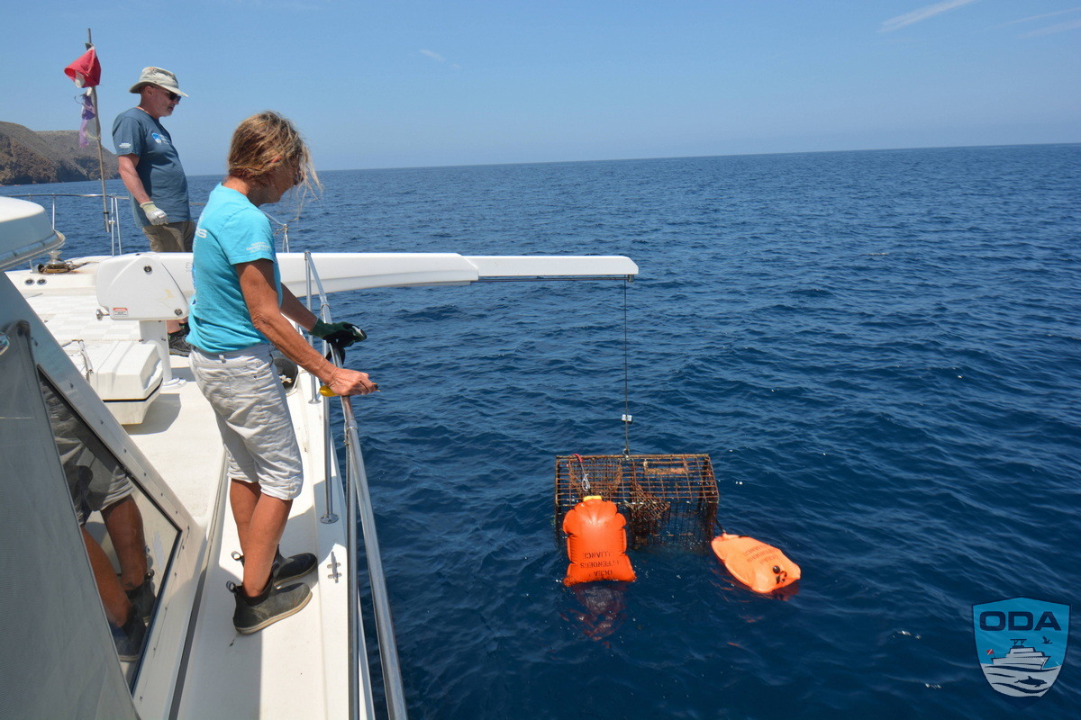 Trap on davit 2 LR 1200w wm