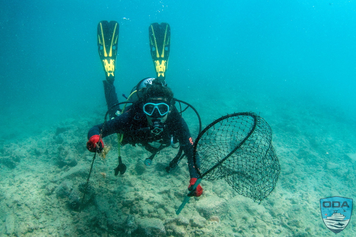 UW Divers removing debris 1 LR 1200w wm