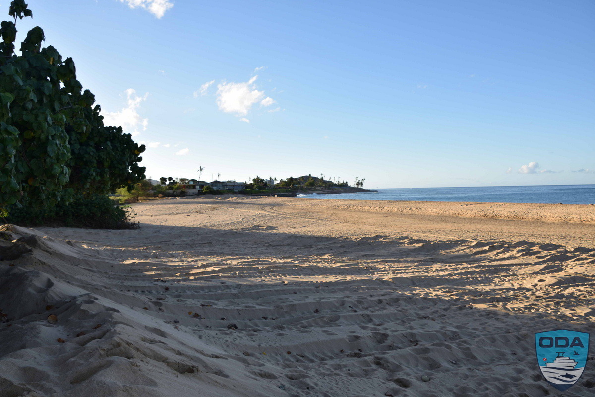 Makaha Beach Dive cleanup site