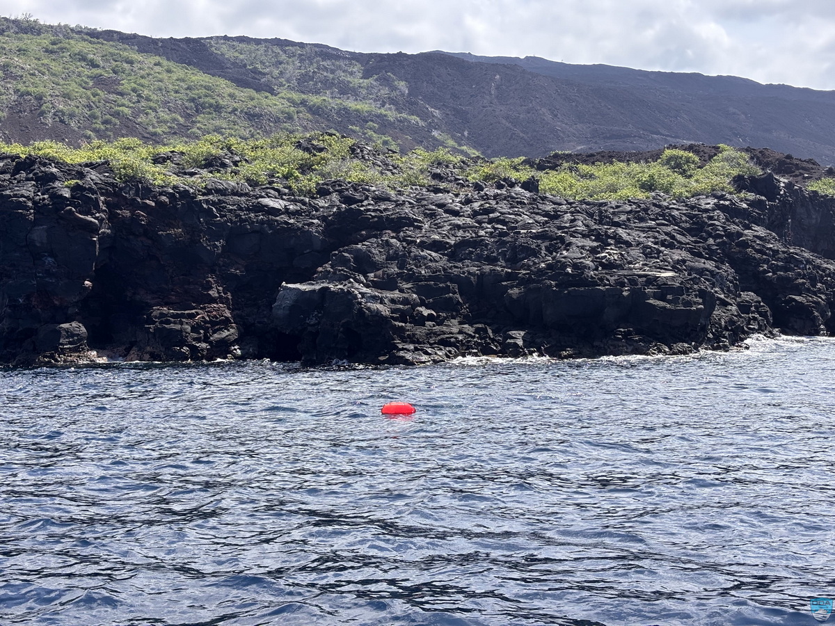 Dive site w lift bags that have removed abandoned fishing gear
